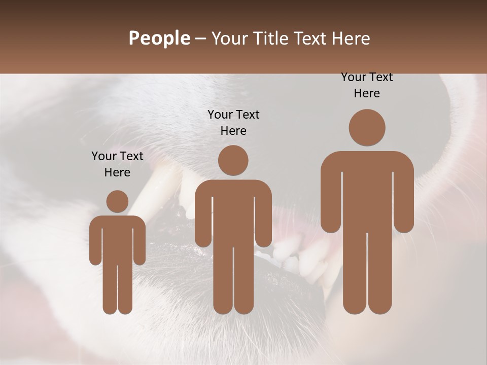 Lifestyle Portrait Pensioner PowerPoint Template