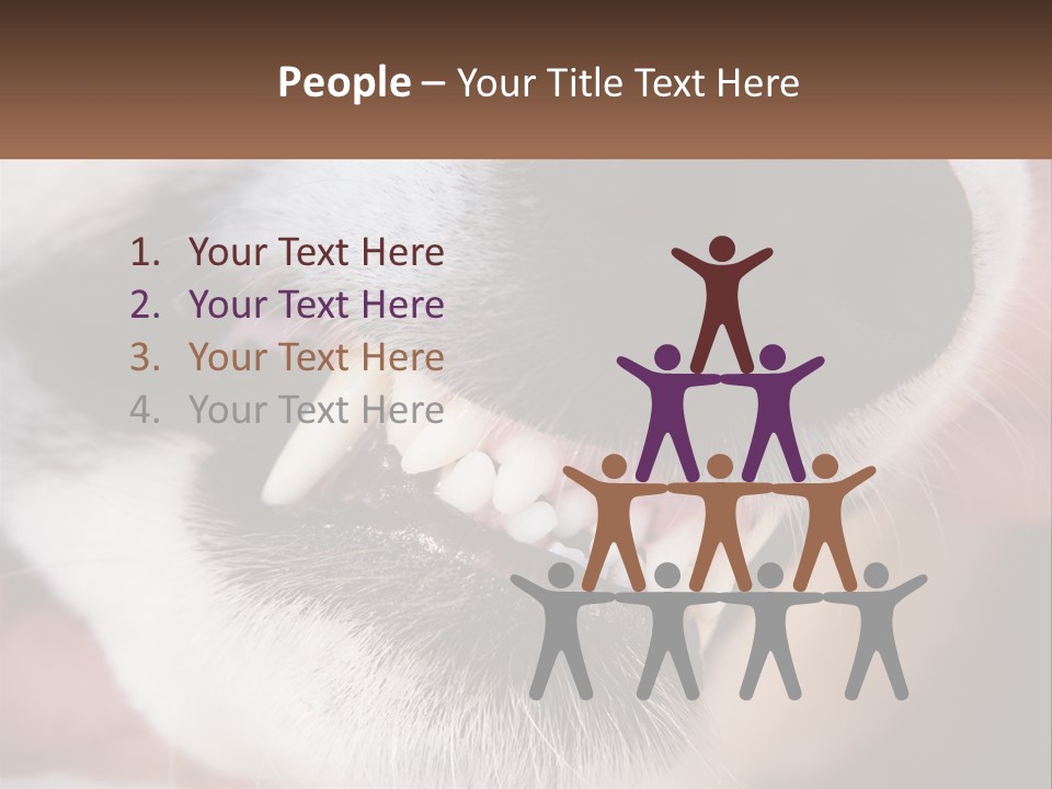 Lifestyle Portrait Pensioner PowerPoint Template