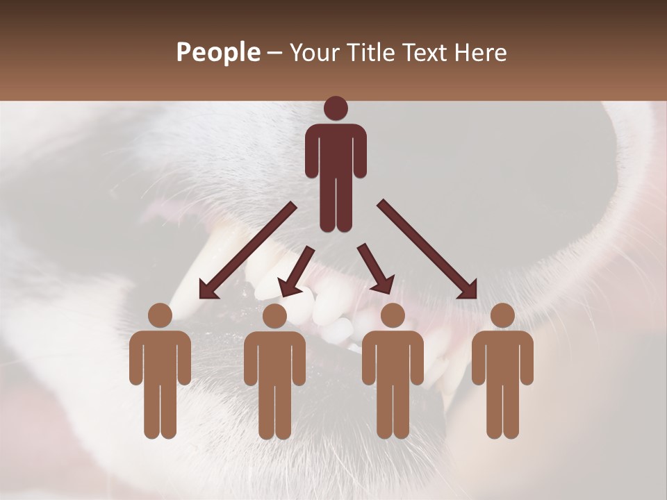 Lifestyle Portrait Pensioner PowerPoint Template