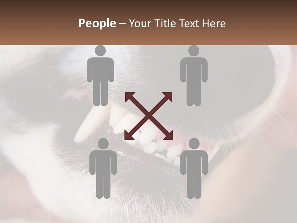 Lifestyle Portrait Pensioner PowerPoint Template