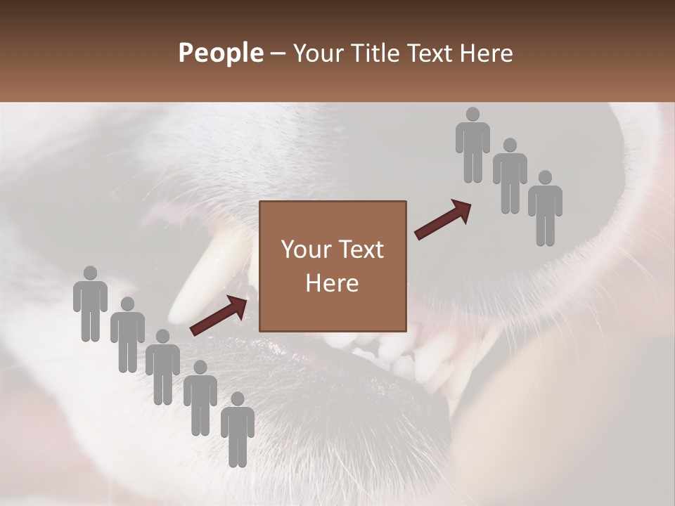 Lifestyle Portrait Pensioner PowerPoint Template