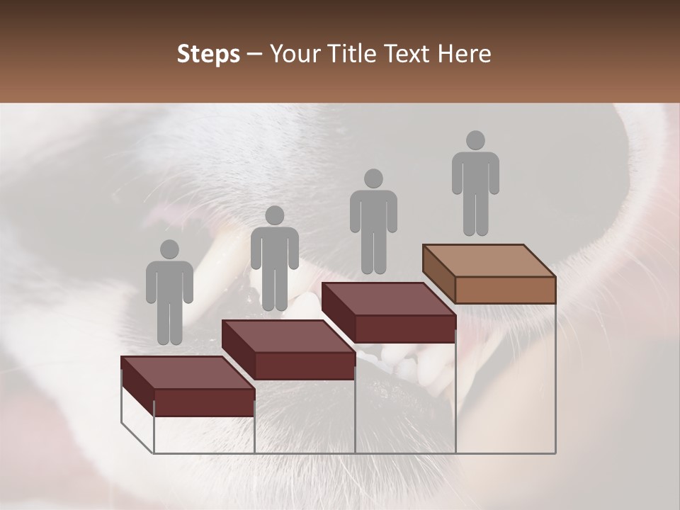 Lifestyle Portrait Pensioner PowerPoint Template