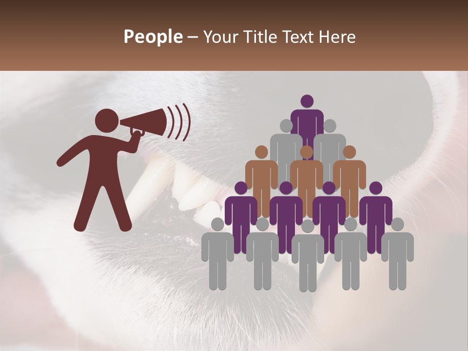 Lifestyle Portrait Pensioner PowerPoint Template