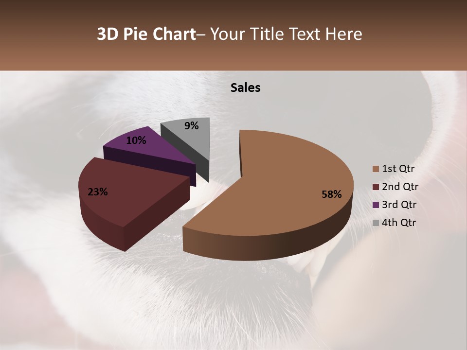 Lifestyle Portrait Pensioner PowerPoint Template