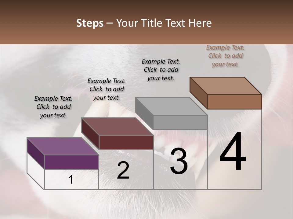 Lifestyle Portrait Pensioner PowerPoint Template