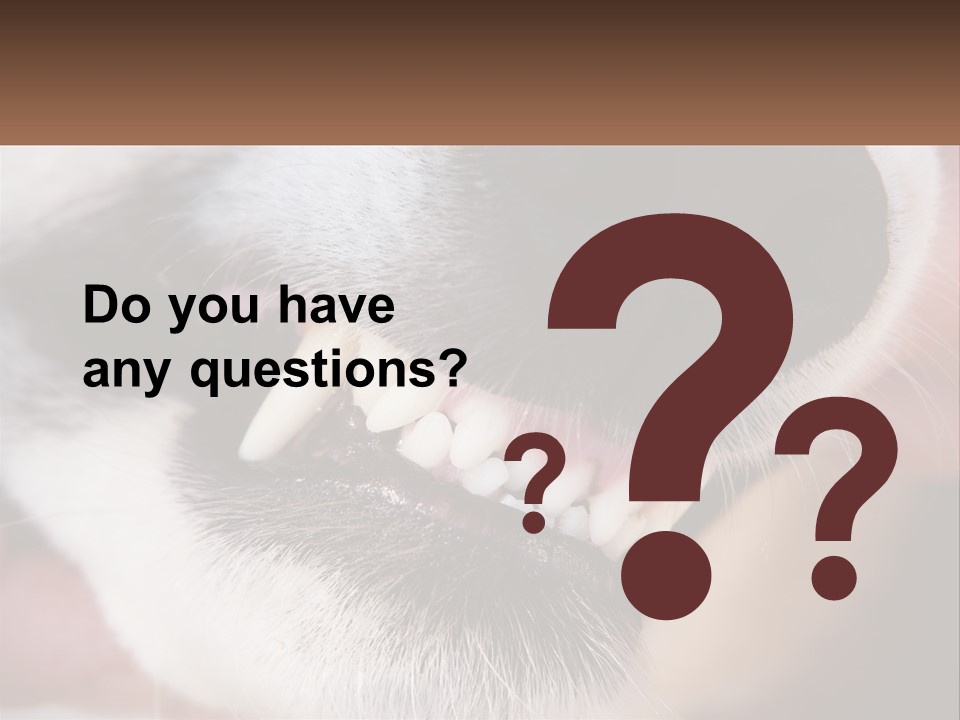 Lifestyle Portrait Pensioner PowerPoint Template