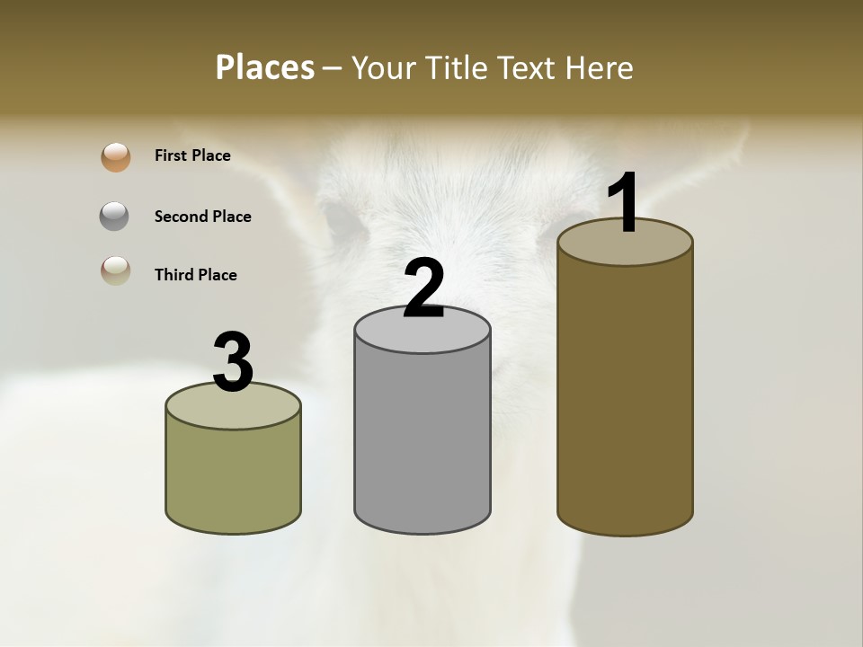 Sunrise Portrait Lifestyle PowerPoint Template