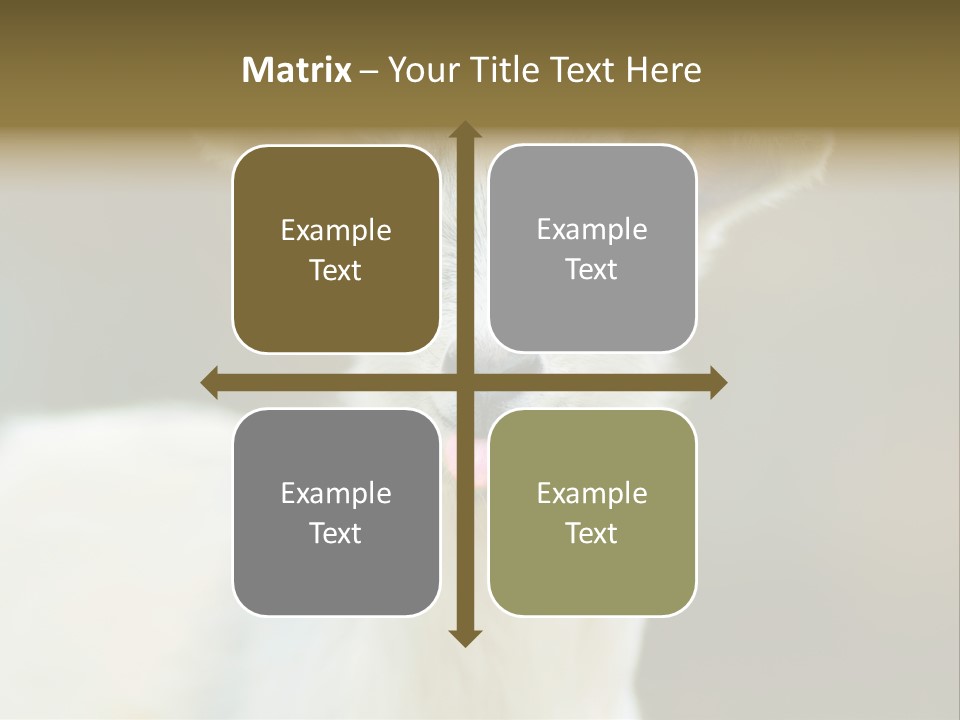Sunrise Portrait Lifestyle PowerPoint Template