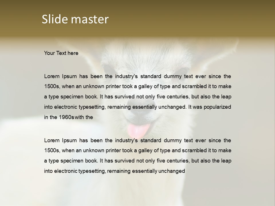 Sunrise Portrait Lifestyle PowerPoint Template