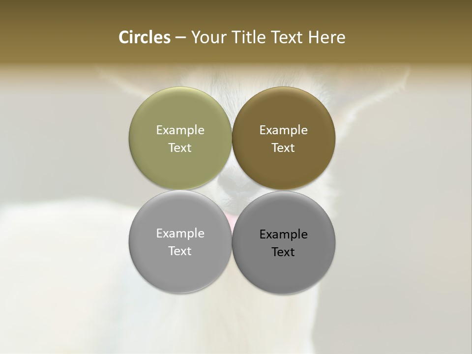 Sunrise Portrait Lifestyle PowerPoint Template