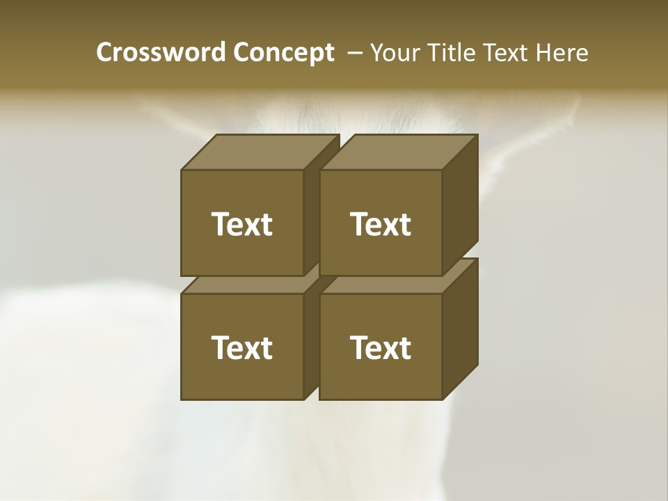Sunrise Portrait Lifestyle PowerPoint Template