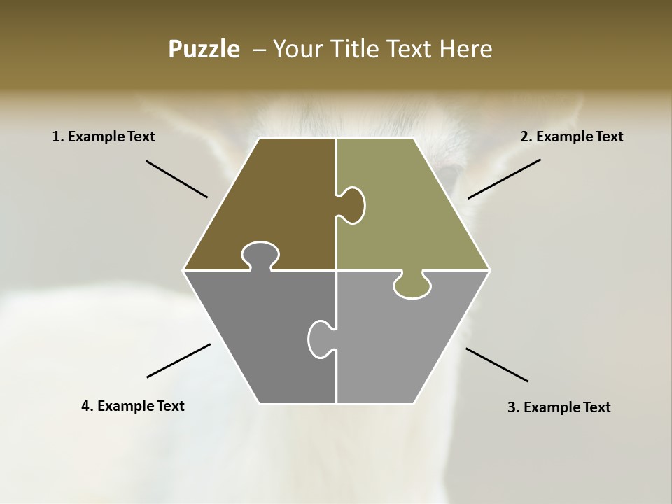 Sunrise Portrait Lifestyle PowerPoint Template