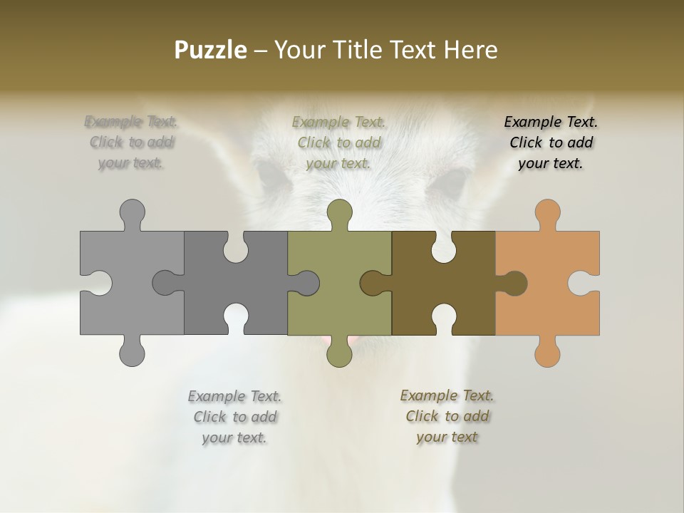 Sunrise Portrait Lifestyle PowerPoint Template