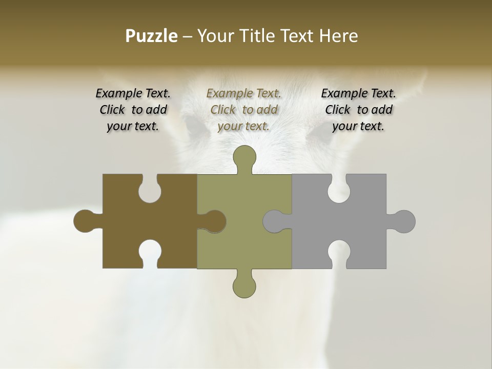 Sunrise Portrait Lifestyle PowerPoint Template