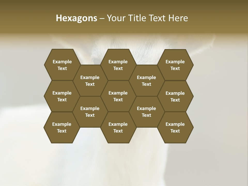 Sunrise Portrait Lifestyle PowerPoint Template