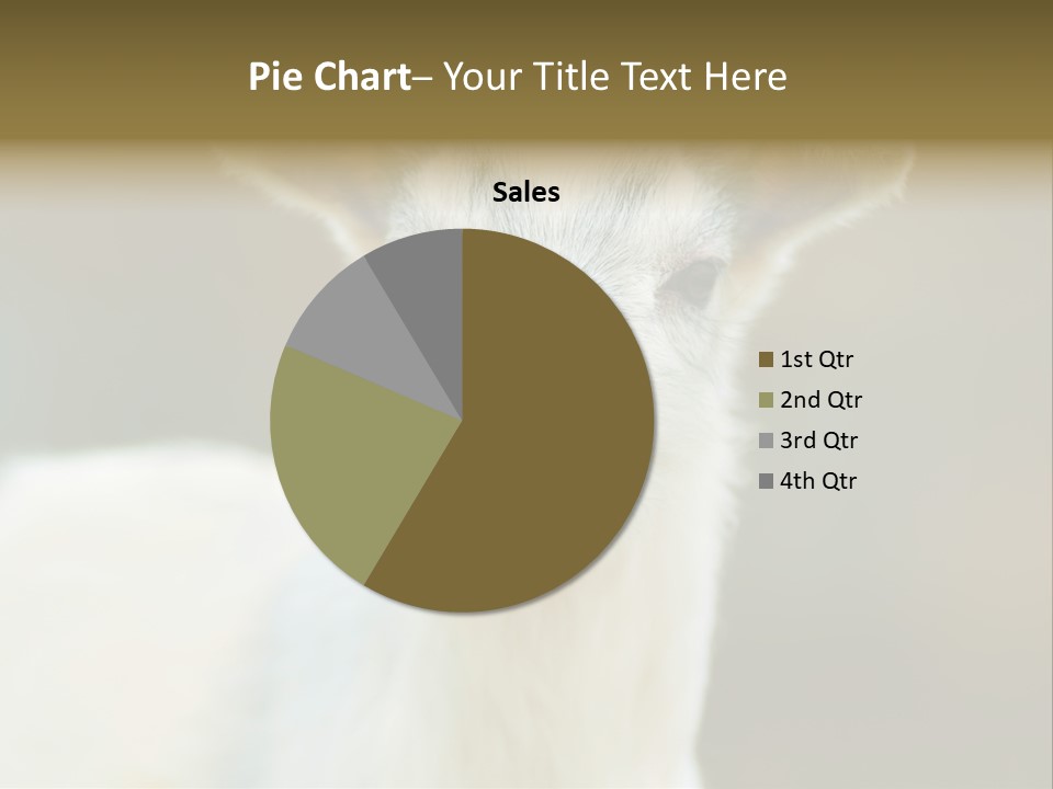 Sunrise Portrait Lifestyle PowerPoint Template