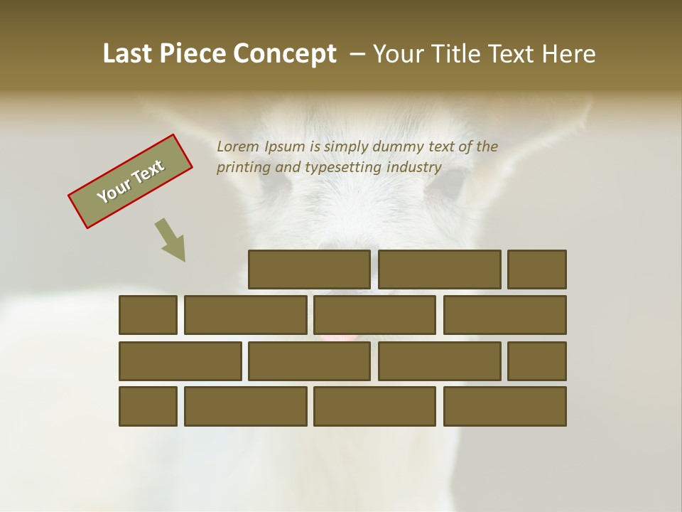 Sunrise Portrait Lifestyle PowerPoint Template