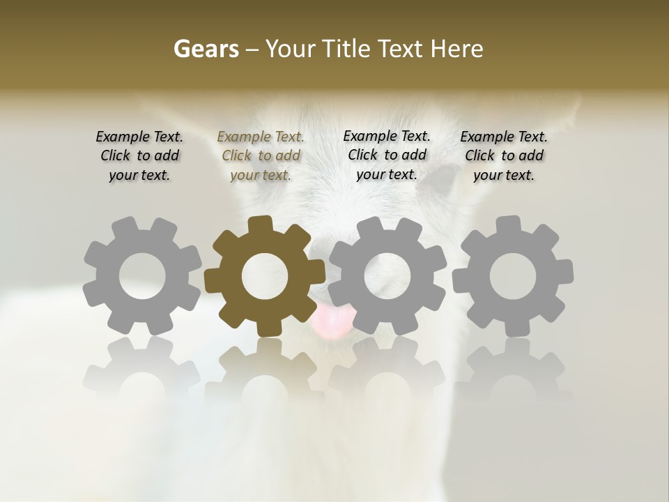 Sunrise Portrait Lifestyle PowerPoint Template