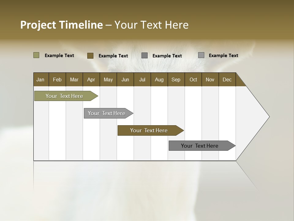 Sunrise Portrait Lifestyle PowerPoint Template