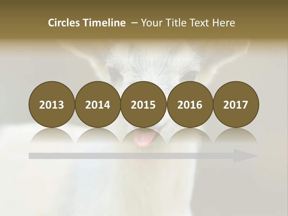 Sunrise Portrait Lifestyle PowerPoint Template