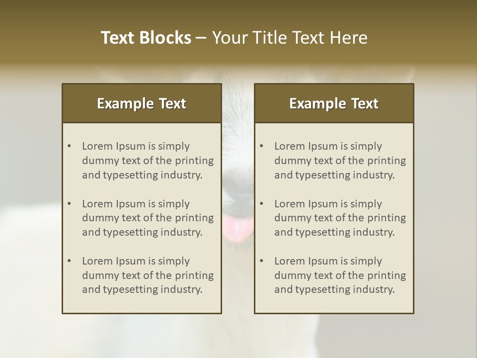 Sunrise Portrait Lifestyle PowerPoint Template