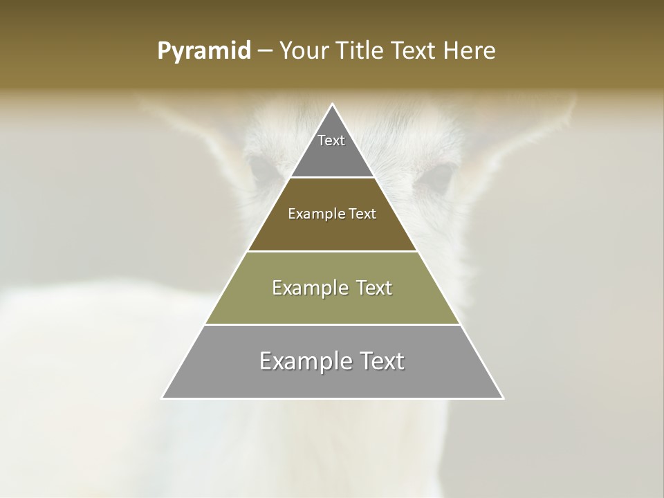 Sunrise Portrait Lifestyle PowerPoint Template