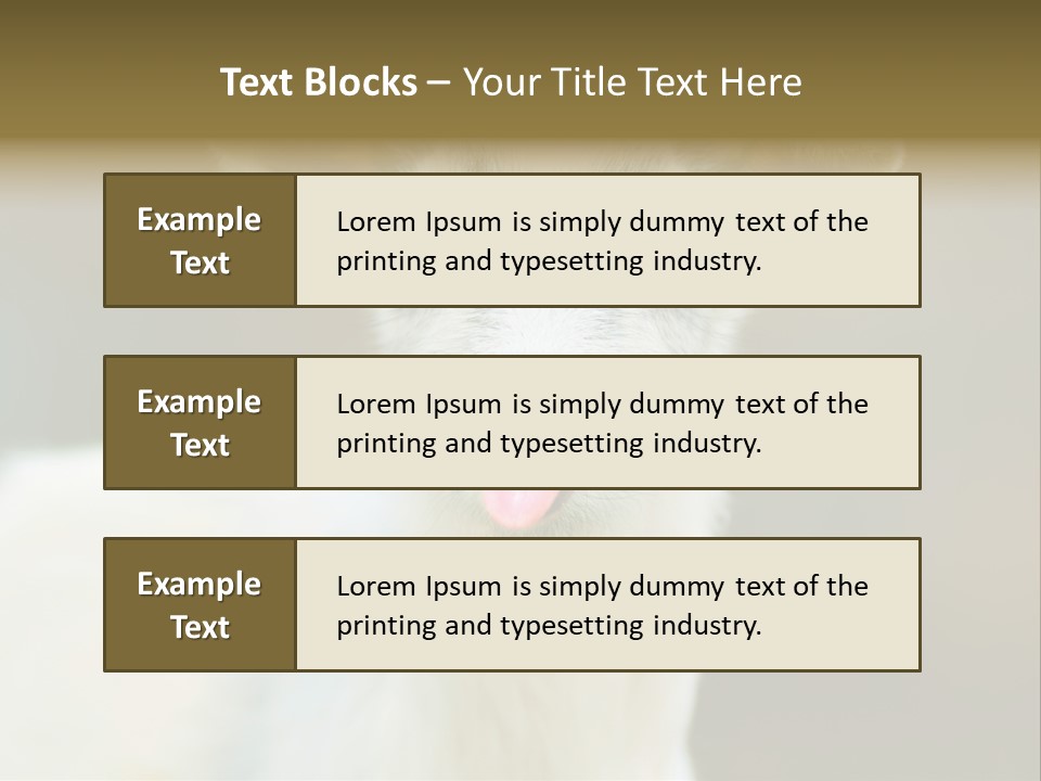 Sunrise Portrait Lifestyle PowerPoint Template