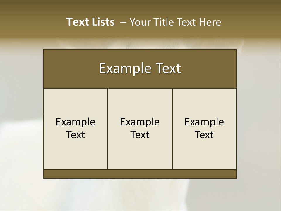 Sunrise Portrait Lifestyle PowerPoint Template