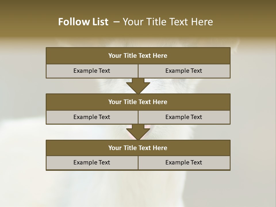 Sunrise Portrait Lifestyle PowerPoint Template