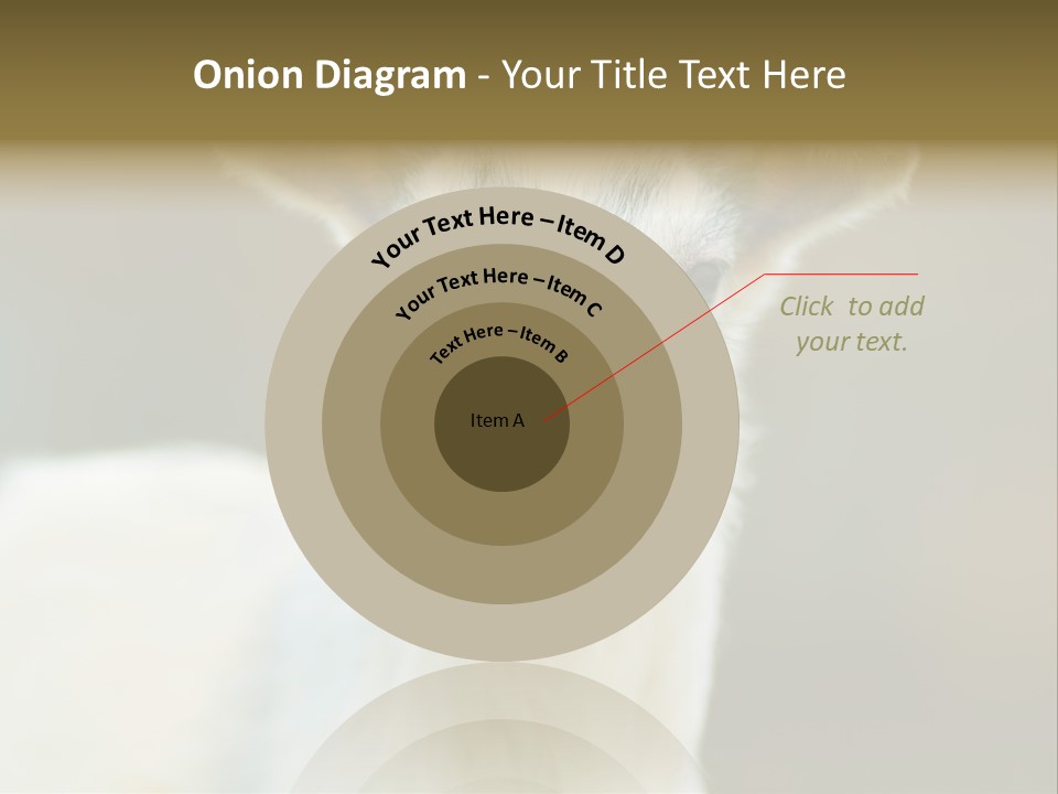 Sunrise Portrait Lifestyle PowerPoint Template