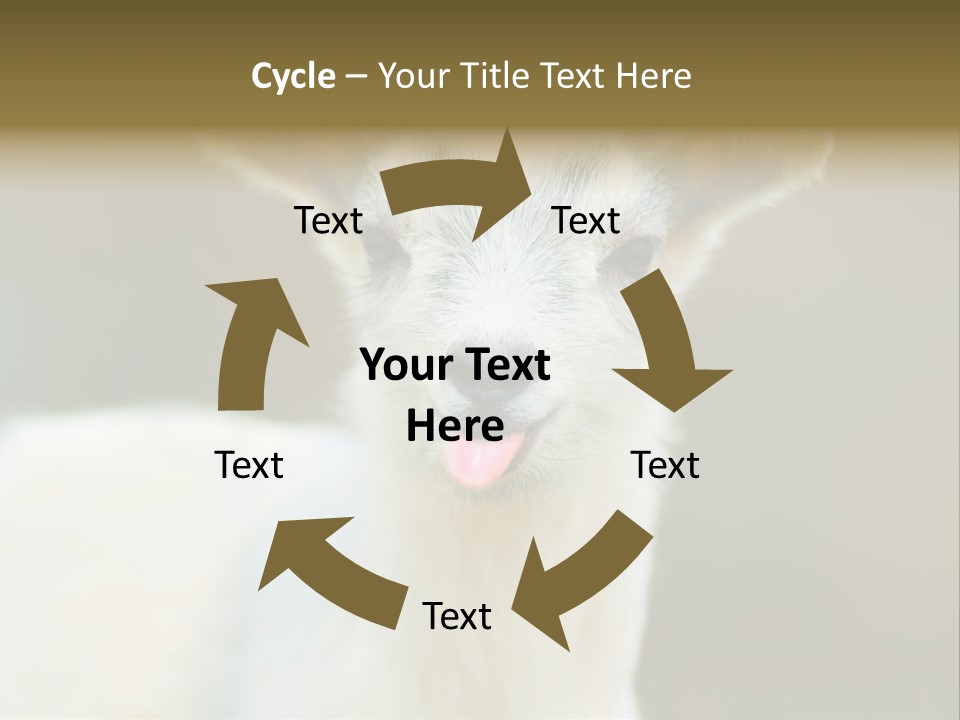 Sunrise Portrait Lifestyle PowerPoint Template