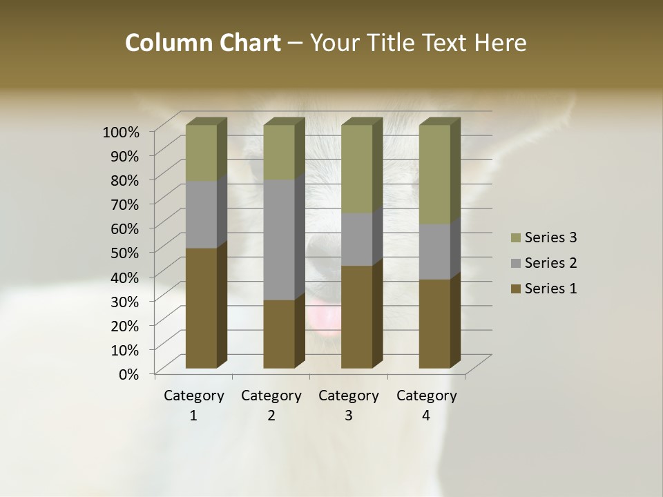 Sunrise Portrait Lifestyle PowerPoint Template