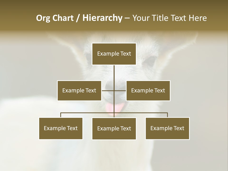 Sunrise Portrait Lifestyle PowerPoint Template