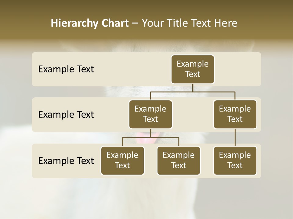 Sunrise Portrait Lifestyle PowerPoint Template