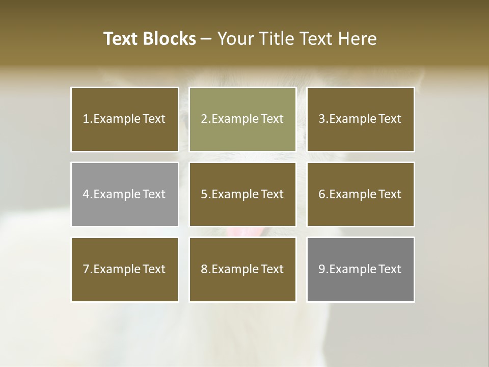 Sunrise Portrait Lifestyle PowerPoint Template