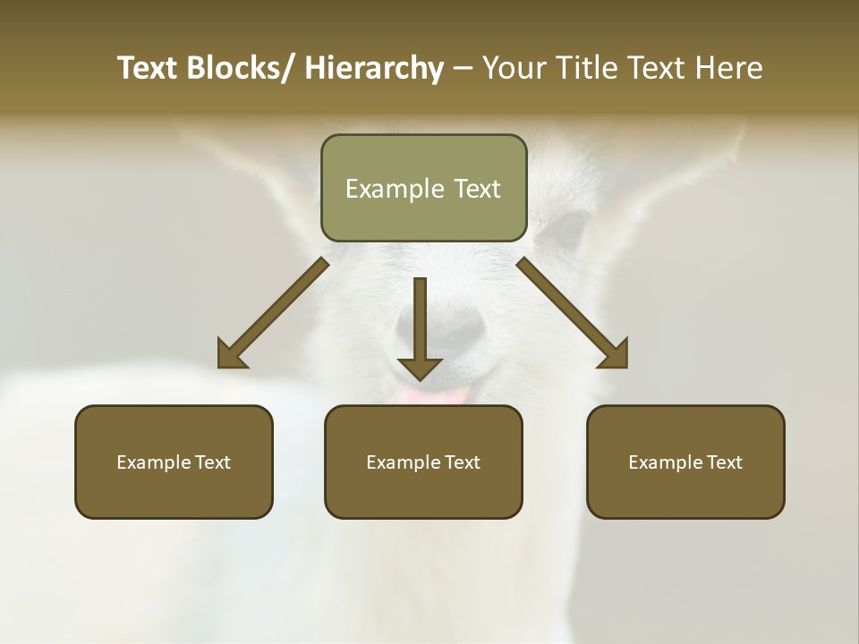 Sunrise Portrait Lifestyle PowerPoint Template