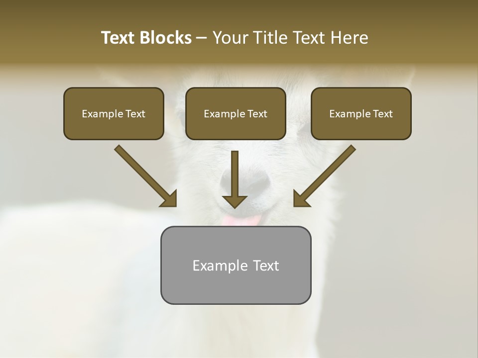 Sunrise Portrait Lifestyle PowerPoint Template
