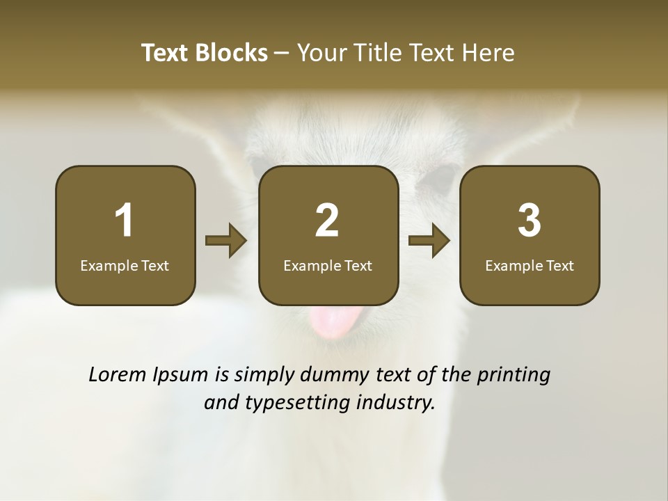 Sunrise Portrait Lifestyle PowerPoint Template