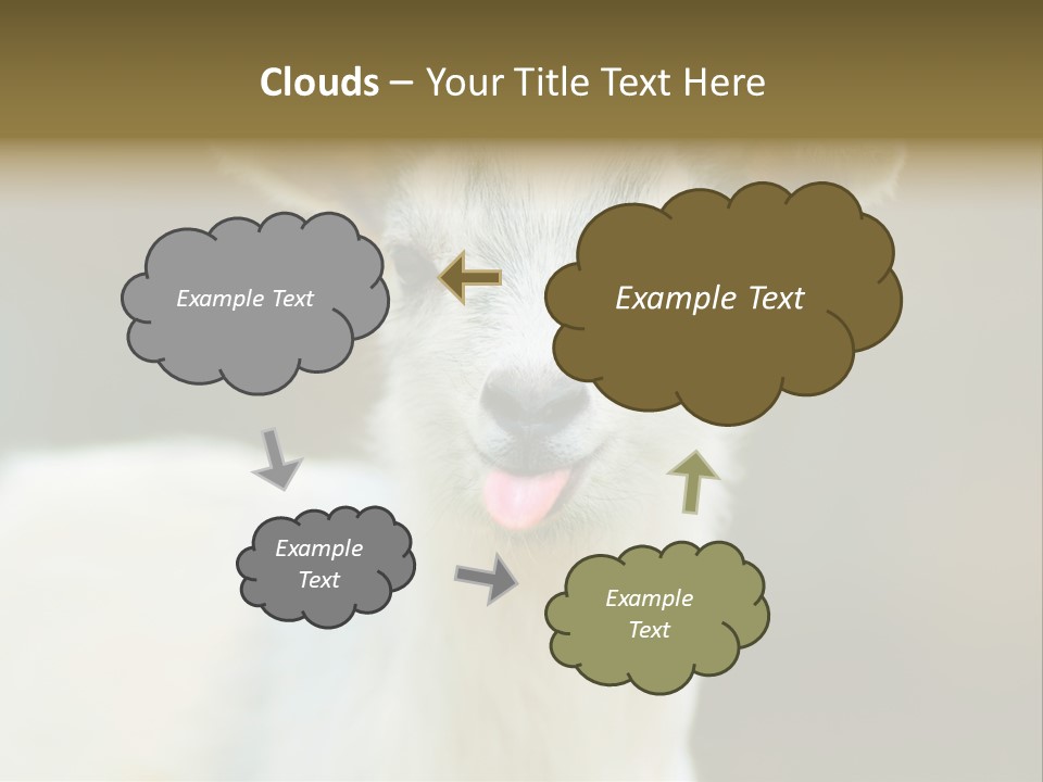 Sunrise Portrait Lifestyle PowerPoint Template