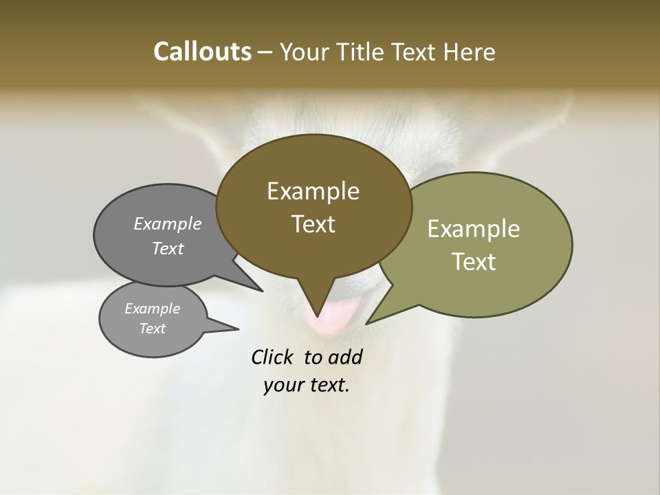 Sunrise Portrait Lifestyle PowerPoint Template