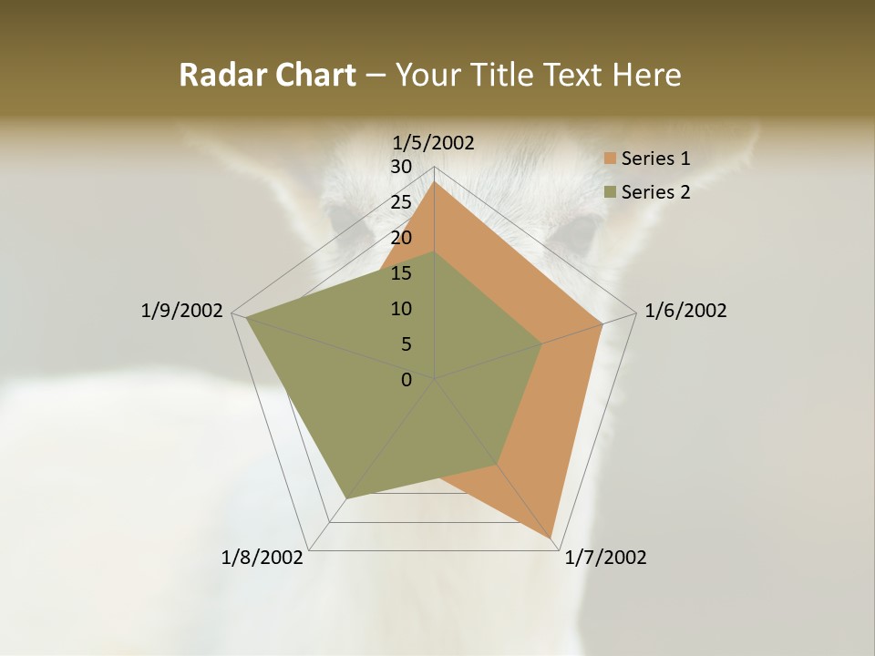 Sunrise Portrait Lifestyle PowerPoint Template