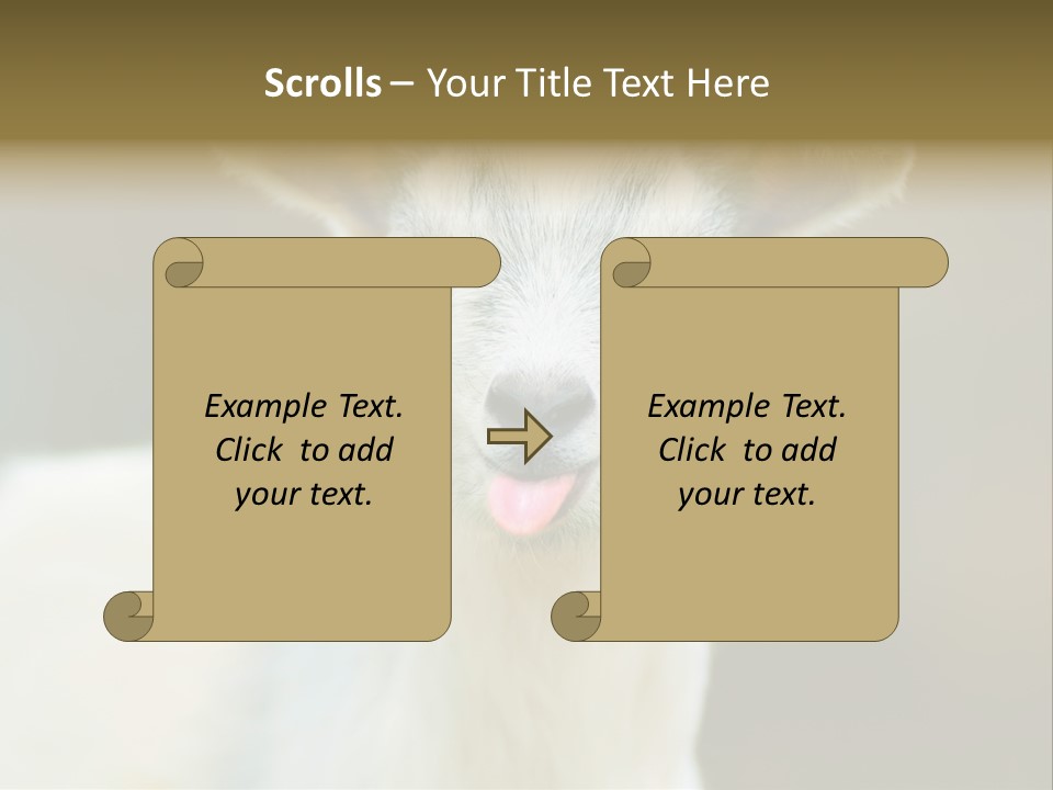 Sunrise Portrait Lifestyle PowerPoint Template