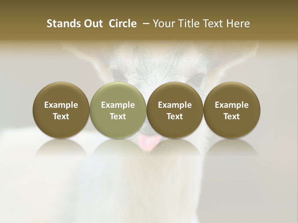 Sunrise Portrait Lifestyle PowerPoint Template