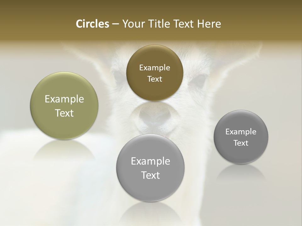 Sunrise Portrait Lifestyle PowerPoint Template