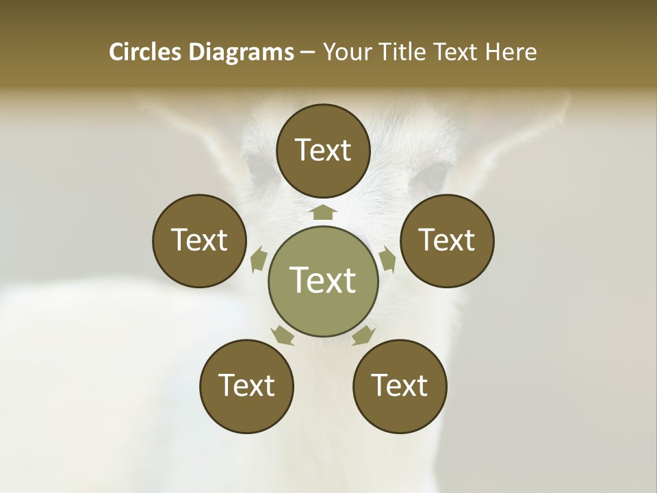 Sunrise Portrait Lifestyle PowerPoint Template