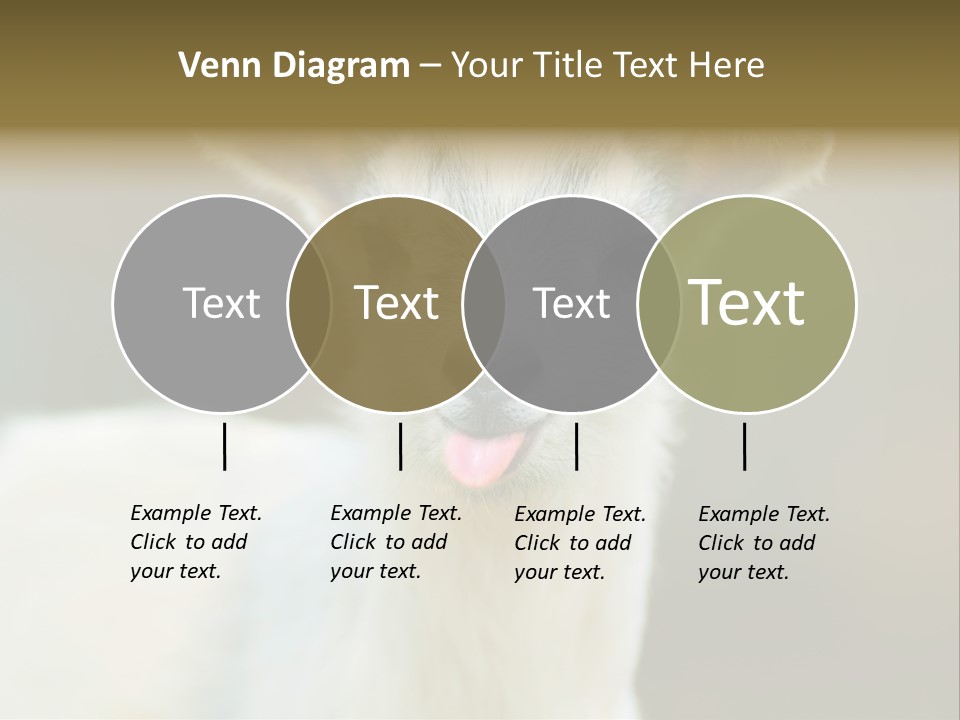 Sunrise Portrait Lifestyle PowerPoint Template