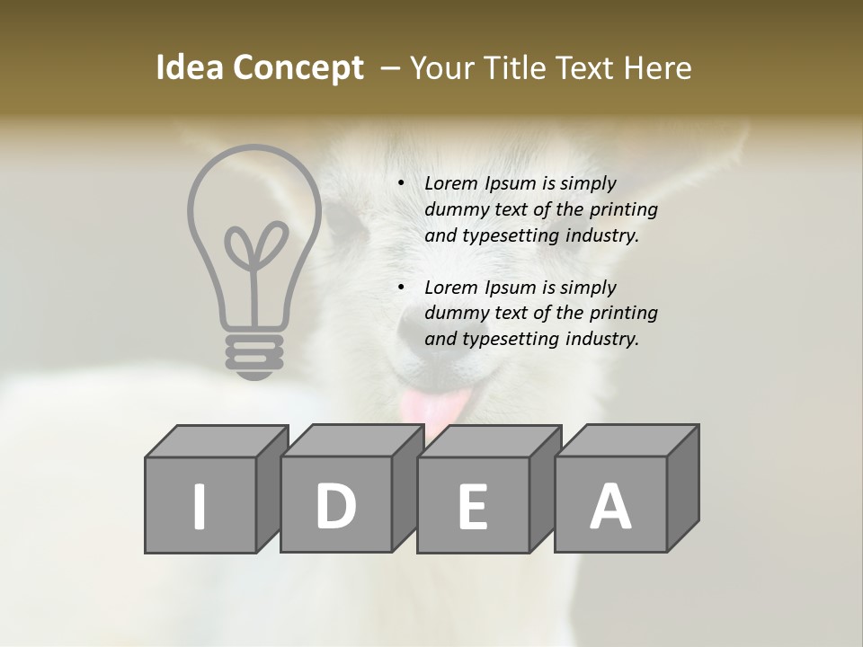 Sunrise Portrait Lifestyle PowerPoint Template