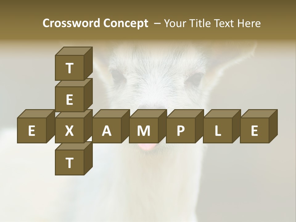 Sunrise Portrait Lifestyle PowerPoint Template