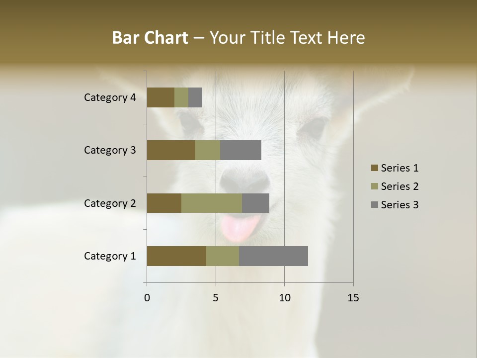 Sunrise Portrait Lifestyle PowerPoint Template