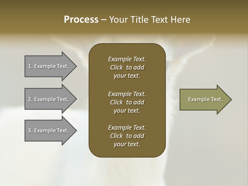 Sunrise Portrait Lifestyle PowerPoint Template